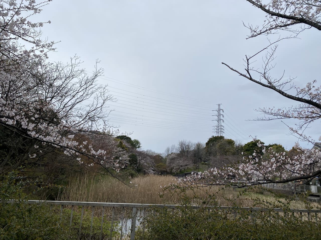 横浜市神奈川区 横浜上麻生道路沿いにガスト六角橋店がnewopen 号外net 横浜市神奈川区