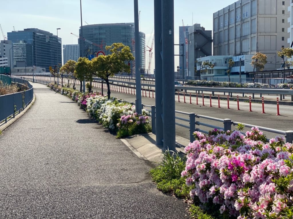 山内町のつつじ