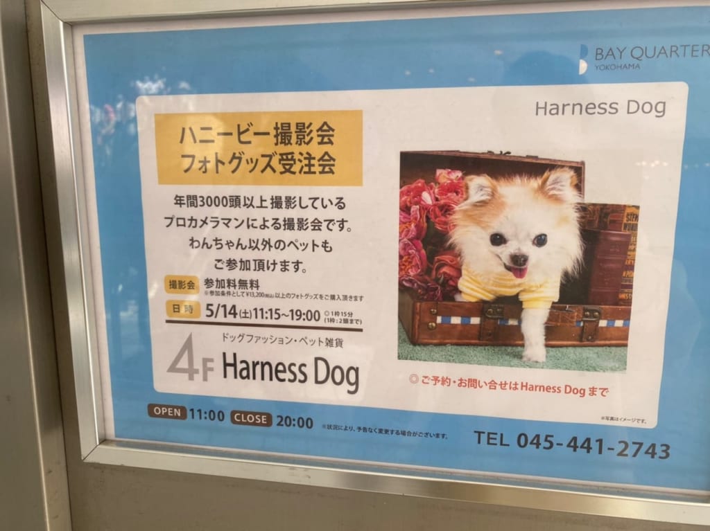 ハーネスドッグ